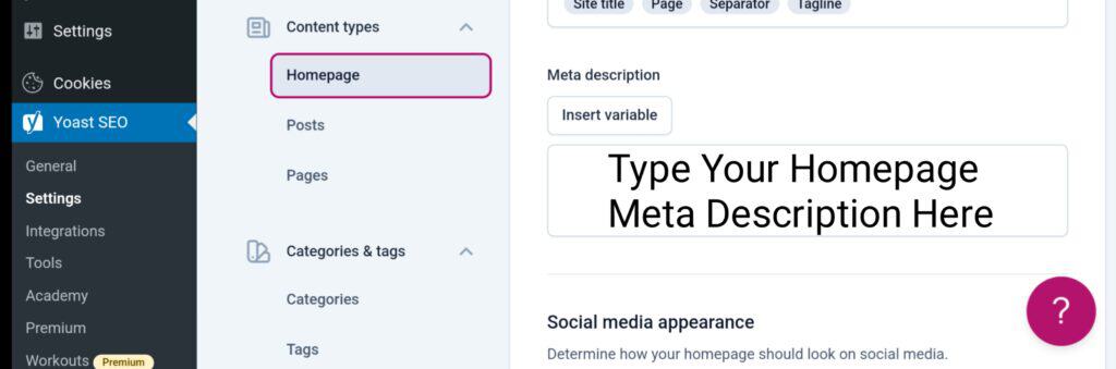 How to meta description on home page using Plugins 